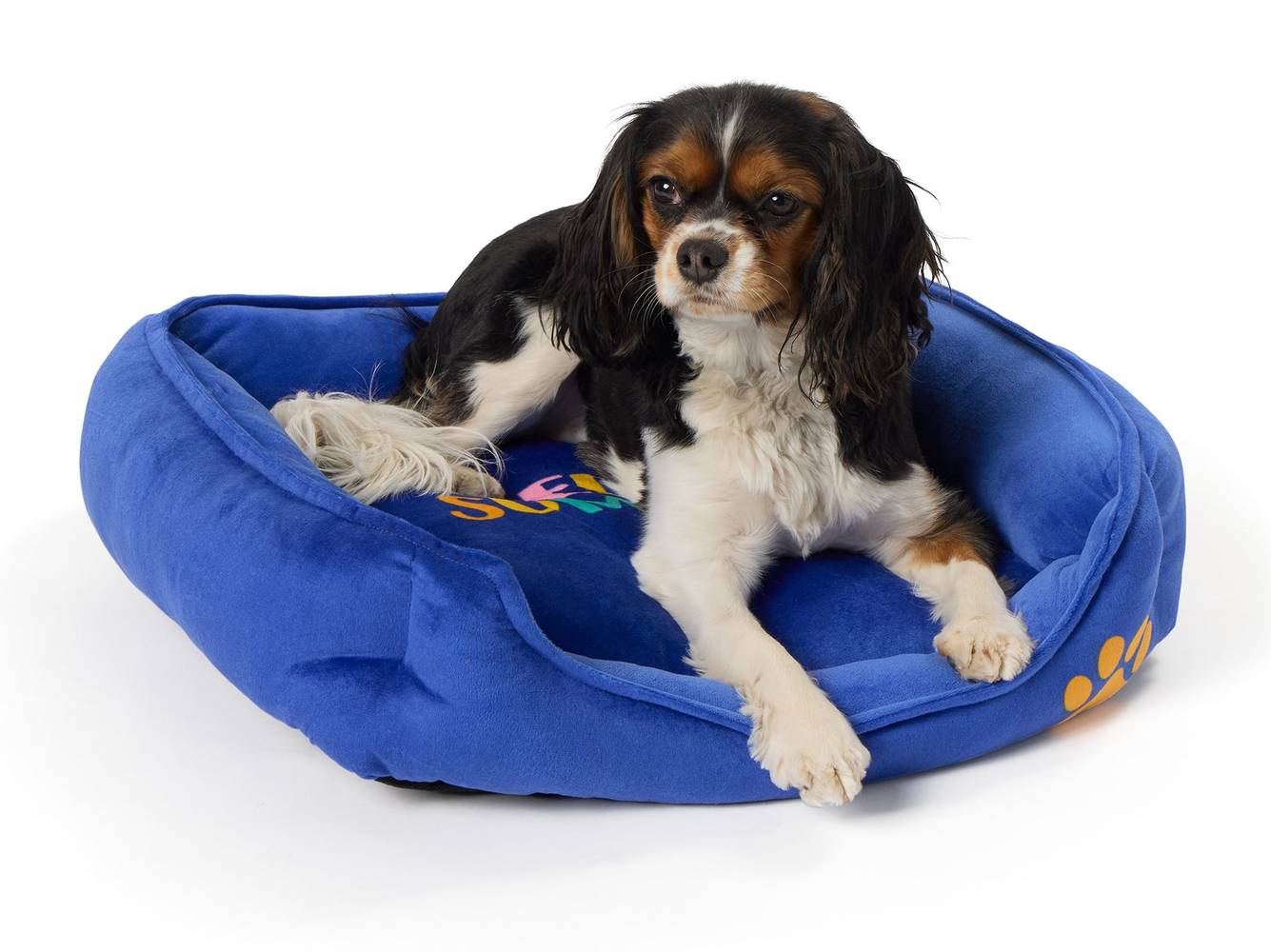 Top Paw Hello Summer Cuddler Dog Bed, Blue