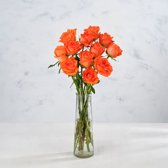 Co-op Fairtrade Roses