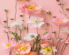 Fullflores (Macul)