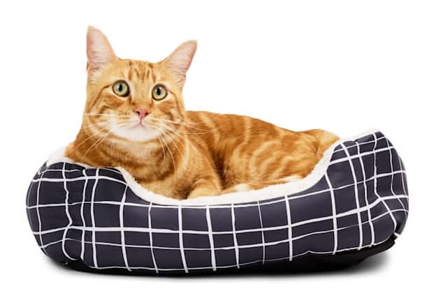EveryYay Essentials Step in Nester Cat Bed, S, Grey