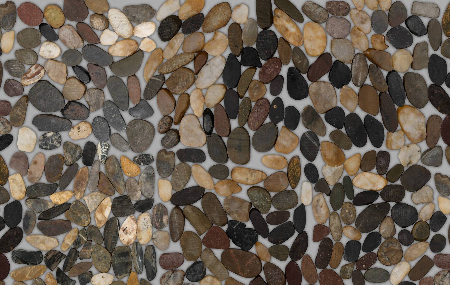 Satori River Rock Multicolor 12-in x 12-in Polished Natural stone Pebble Mosaic Wall Tile ( 0.96-sq ft Piece ) | 20-669