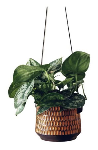 Sand Drift Hanging Basket