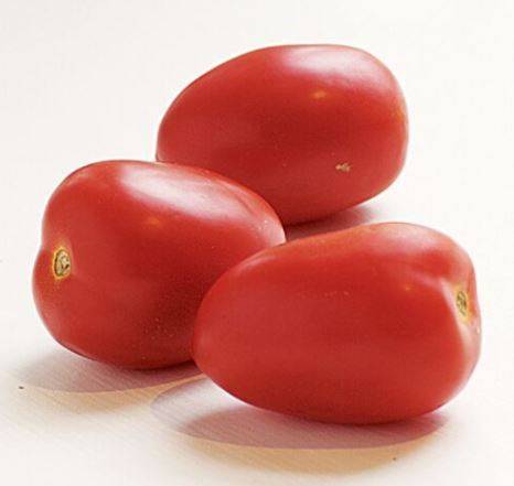 Plum Tomato