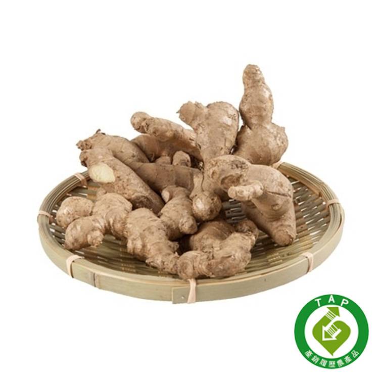 台灣老薑(履歷)300g+-5%袋#866940