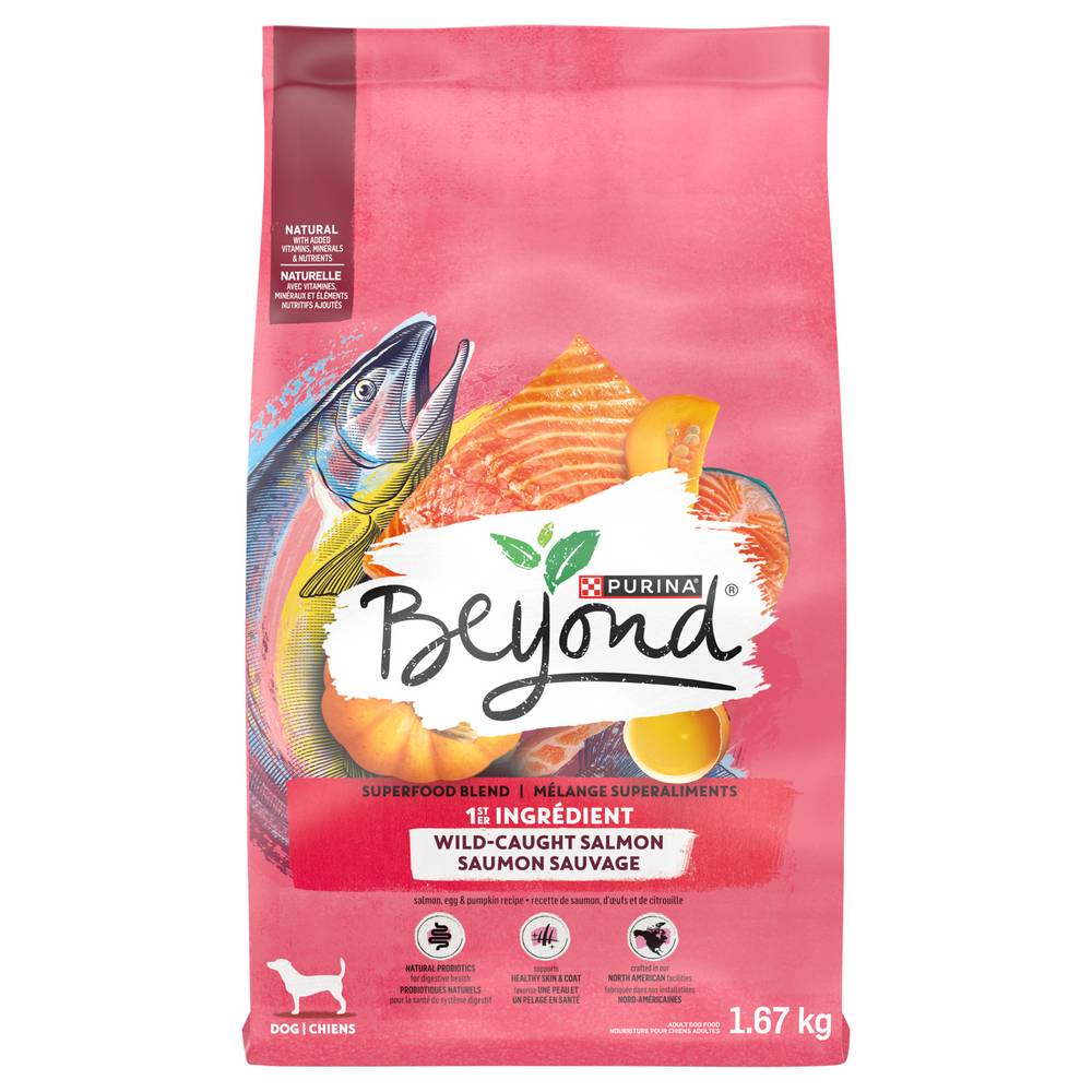 Beyond Superfood Blend Salmon Egg & Pumpkin Recipe Dry Dog Food (1.67 kg)