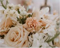 Enchanted Petals