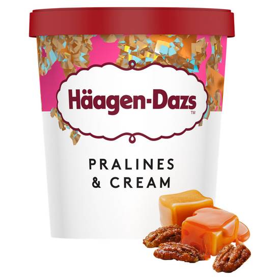 Häagen-Dazs Pralines & Cream Ice Cream 460ml
