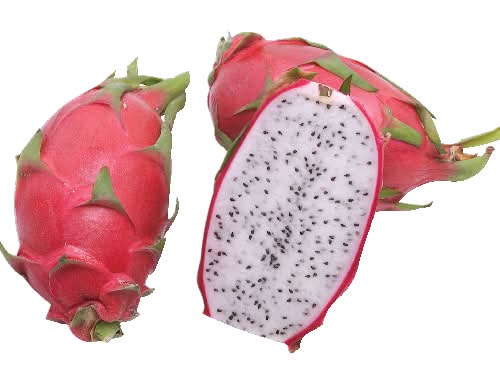 Red White Flesh Dragon Fruit