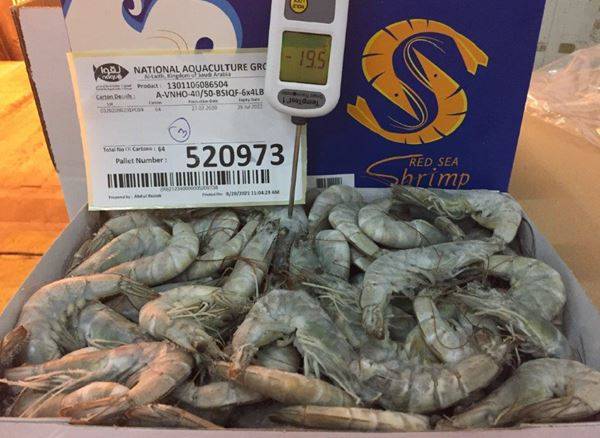 Raw Shrimp, Head-On, 40/50 - 4 lbs