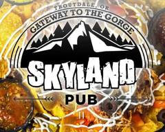 Skyland Pub Bar & Grill