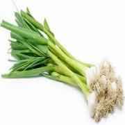 Garlic Green Gresh 1 Lbs