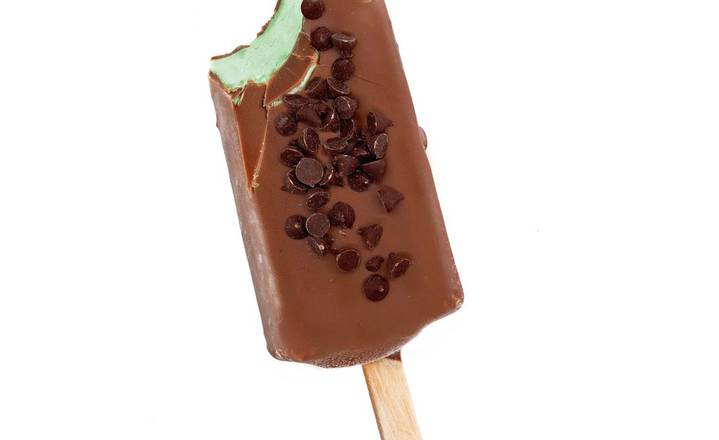 Dipped Mint Chocolate Chip Ice Cream Bar