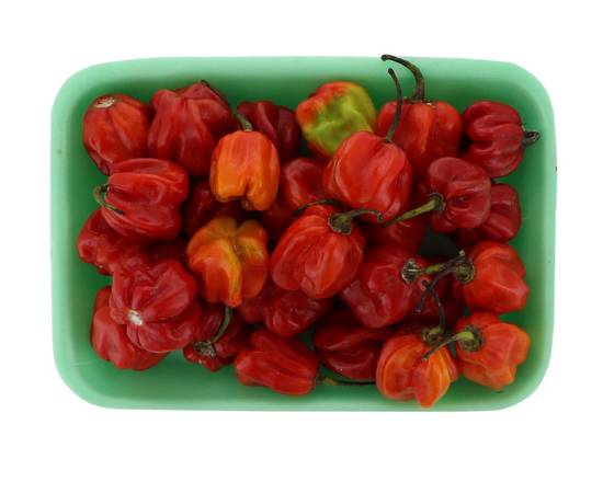 Red Habanero Hot Pepper (approx 1 lbs)