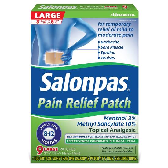 Salonpas Pain Relief, 12-Hour Mild to Moderate Pain Relief Patches, 9 CT