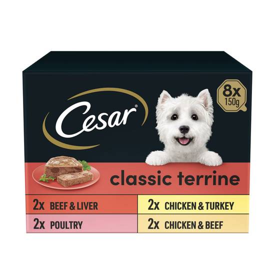 Cesar Classics Terrine Dog Food Trays Mixed 8 pack