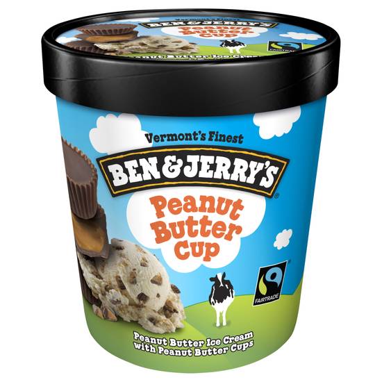 Ben & Jerry's Peanut Butter Cup Ice Cream