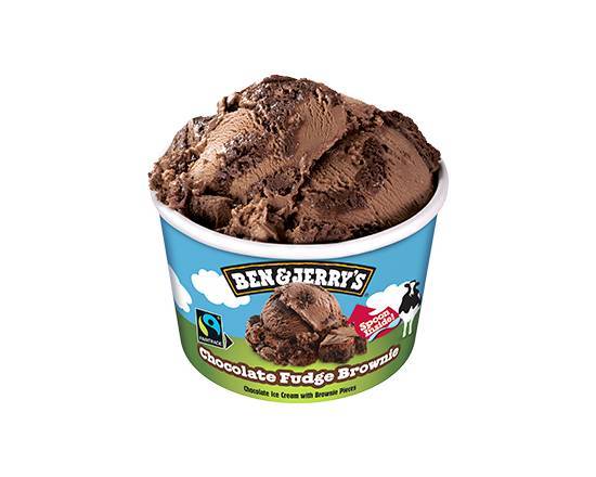 Ben & Jerry's Chocolate Fudge Brownie