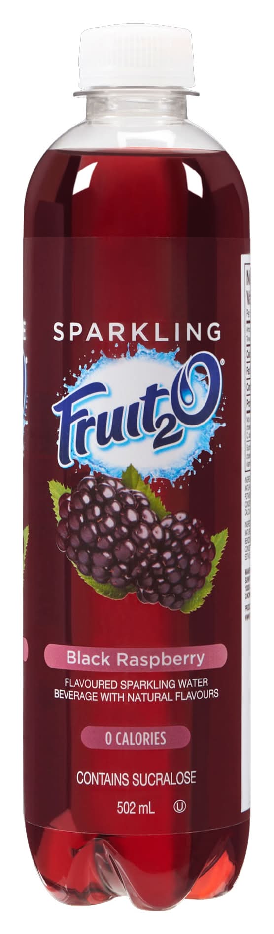 Fruité Fruit 2 O Sparkling Black Raspberry (502 ml)