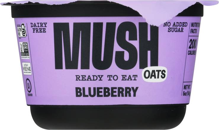 Mush Dairy Free Blueberry Oats
