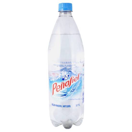Peñafiel Agua Mineral 1L