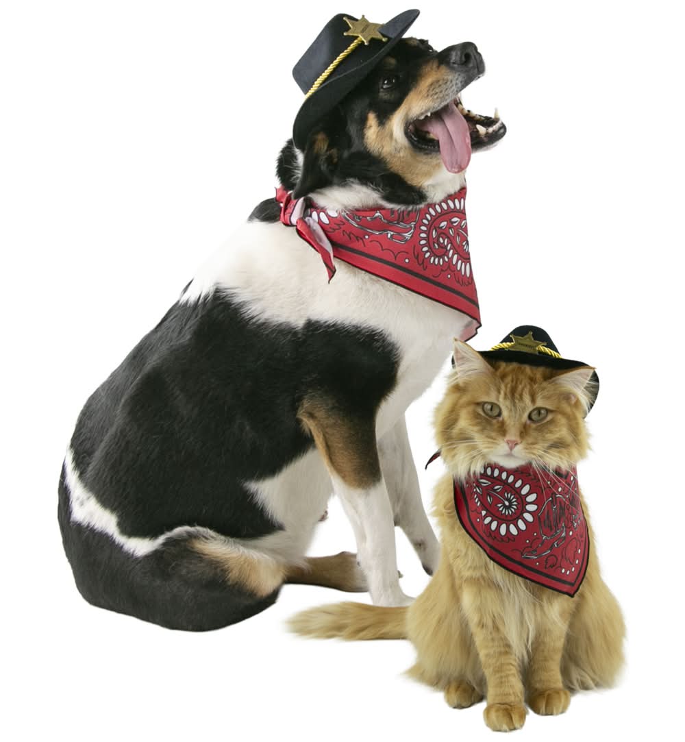 Play On Sheriff Set Dog or Cat Costume, Extra Large/Extra Extra Large