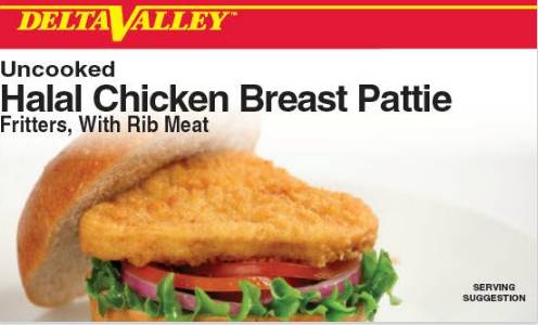 Frozen Delta Valley - Uncooked Breaded Chicken Breast Pattie Fritters, Halal - 10 lbs, avg 50 ct (1 Unit per Case)