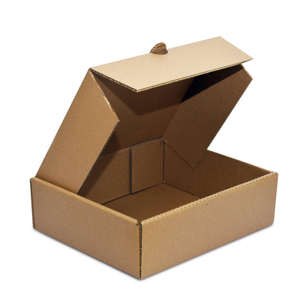 Pochteca · Caja delivery, M