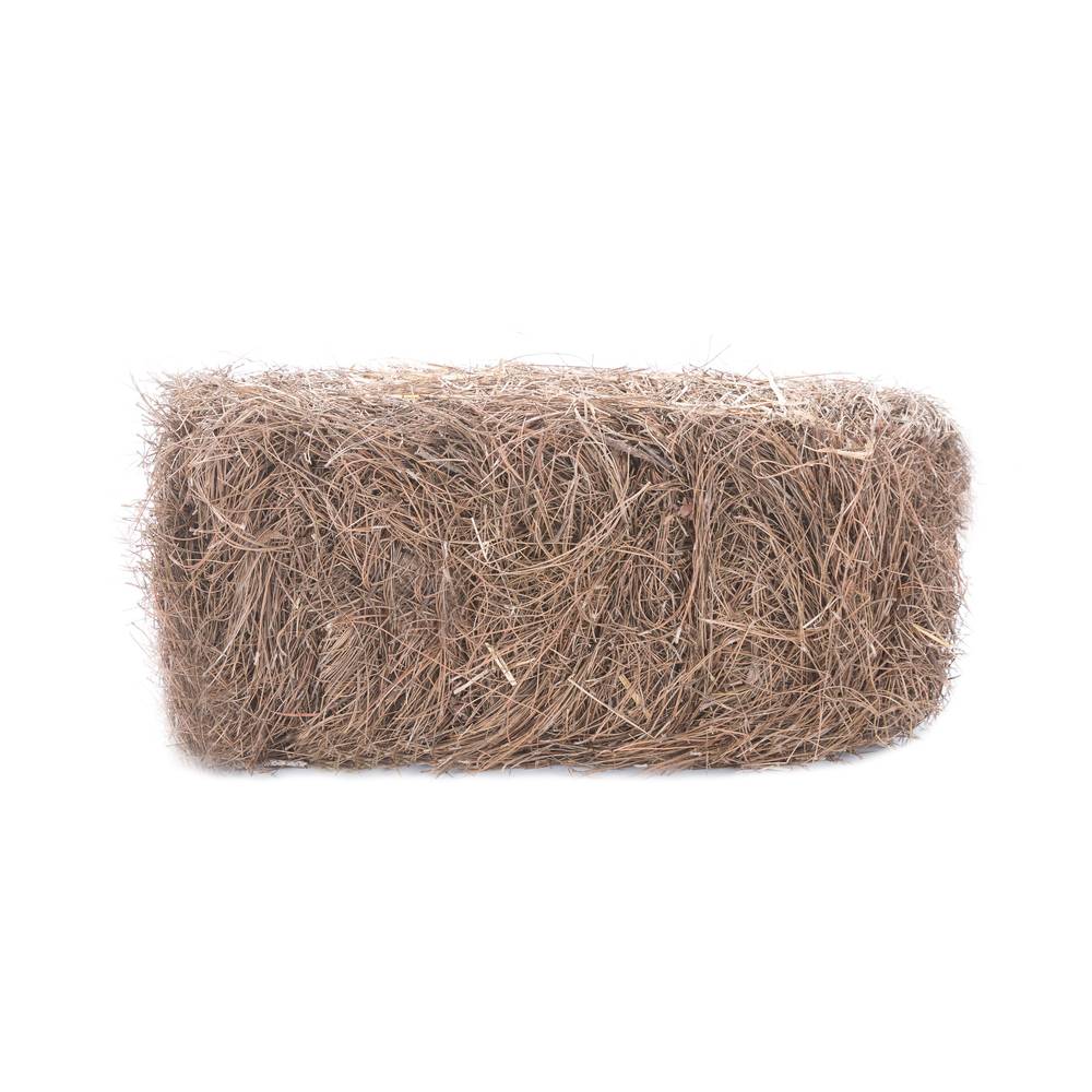 Short Leaf Pine Needles 40 sq. ft. (at 3-in to 4-in depth) | 92122