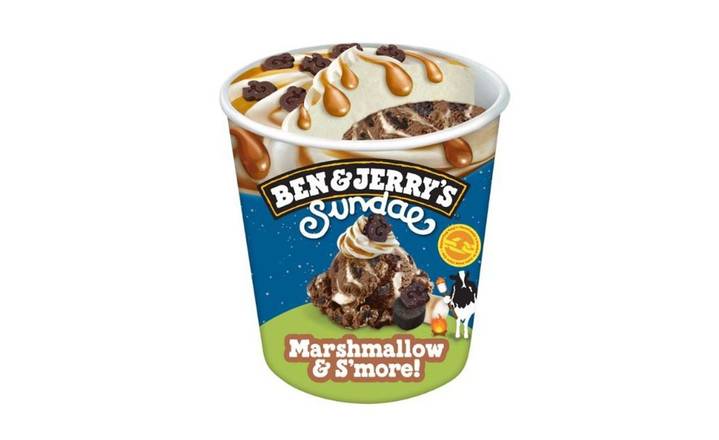 Ben & Jerry's Marshmellow & S'more! Sundae 427mL