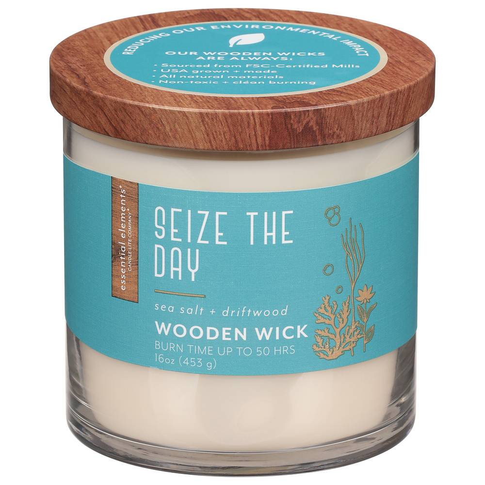 Essential Elements Seize the Day Wooden Wick Sea Salt + Driftwood Candle