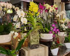 Natural Orchids Boutique (10129 Southwest 72nd Street)