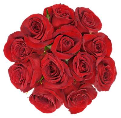 Rose Premium Assorted 12 Stem - Each