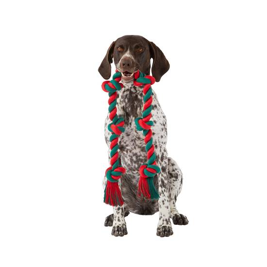 Merry & Bright™ Holiday Feelin' Knotty X-Large 6-Knot Rope Tug Dog Toy (Color: Multi Color)