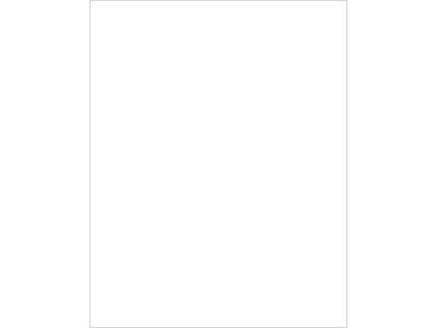 Royal Brites Poster Boards (white)(5 ct)