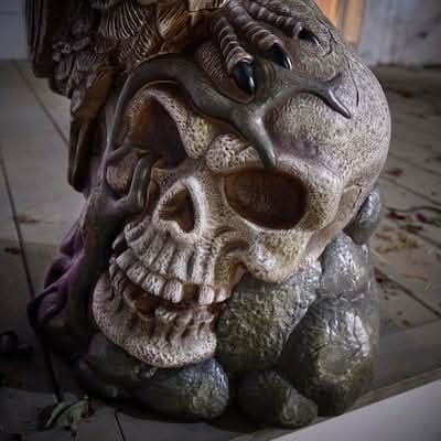Home Accents Holiday Battery Operated Classics Led Owl and Skull