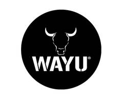 Wayu (Presidente Kennedy Las Condes)
