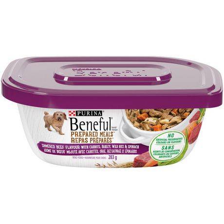 Beneful Prepared Meals Simmered Beef Flavour Dog Food (283 g)