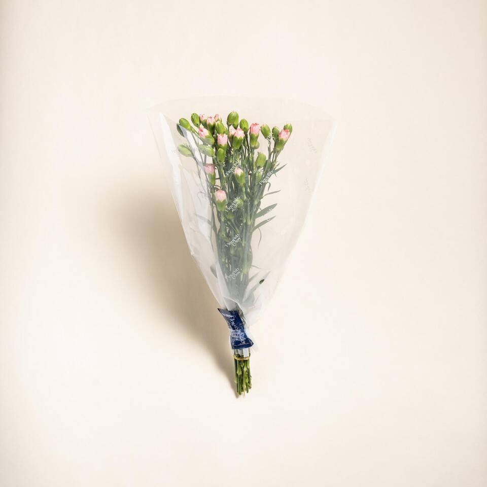 Morrisons Spray Carnations Flower Bouquet