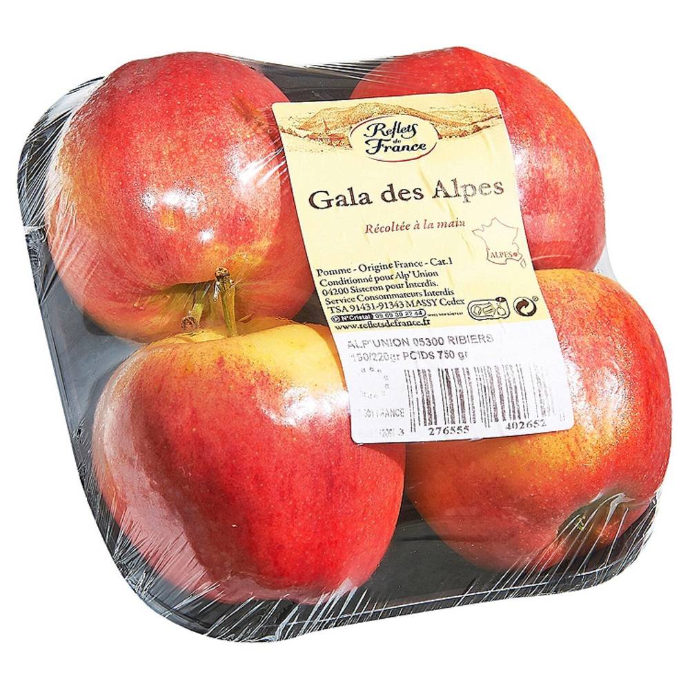 Reflets de France - Pommes gala des alpes (750g)
