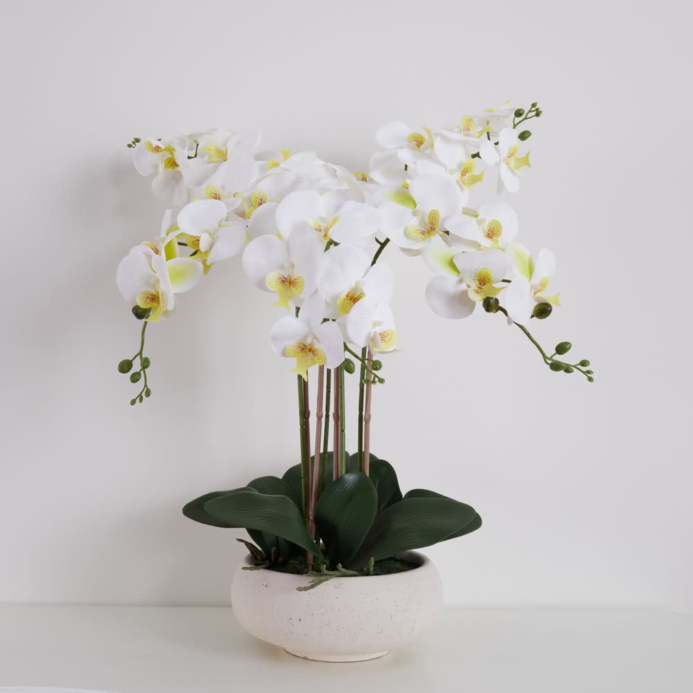 allen + roth 23-in White Indoor Desktop Orchid Artificial flower