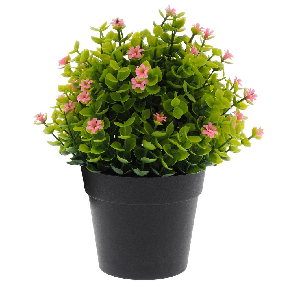 Plastic Plant With Flower