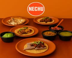 NECHU (Mexico City)
