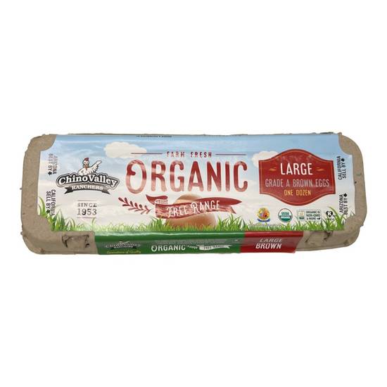 Chino Valley Ranchers Organic Grade a Large Brown Eggs (12 eggs)
