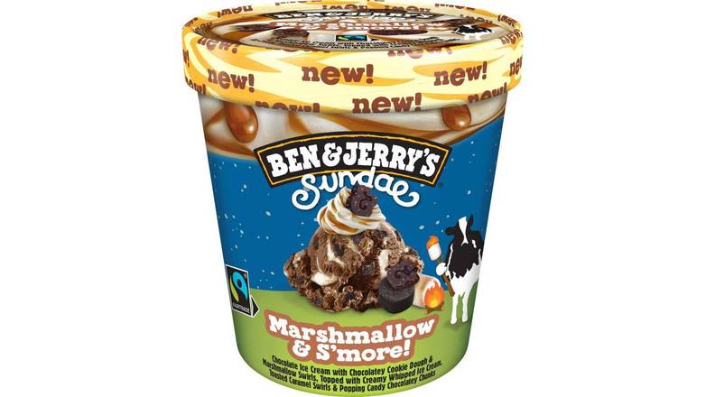 Ben & Jerry Marshmallow & S'more! 427 ml