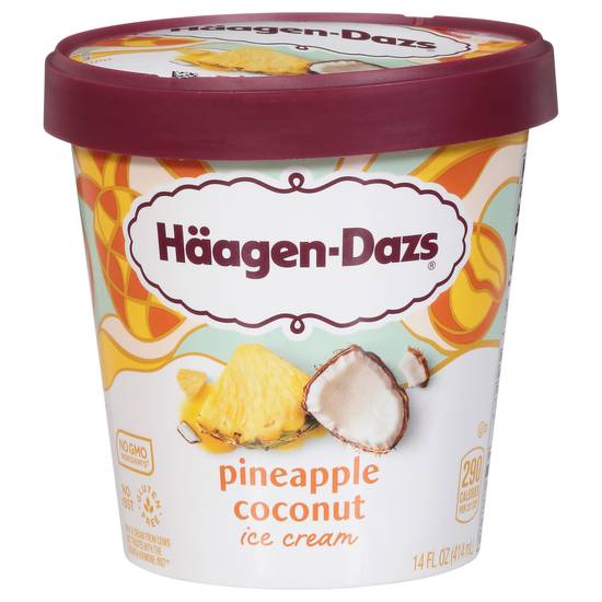 Haagen-Dazs Pineapple Coconut Ice Cream
