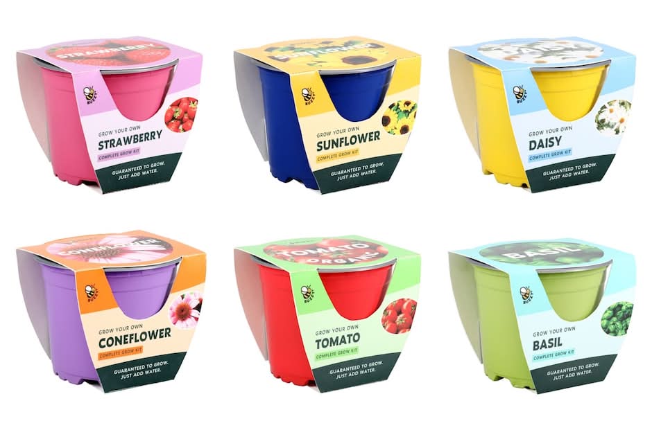 Buzzy Grow Your Own Plant Kit, 1-ct.