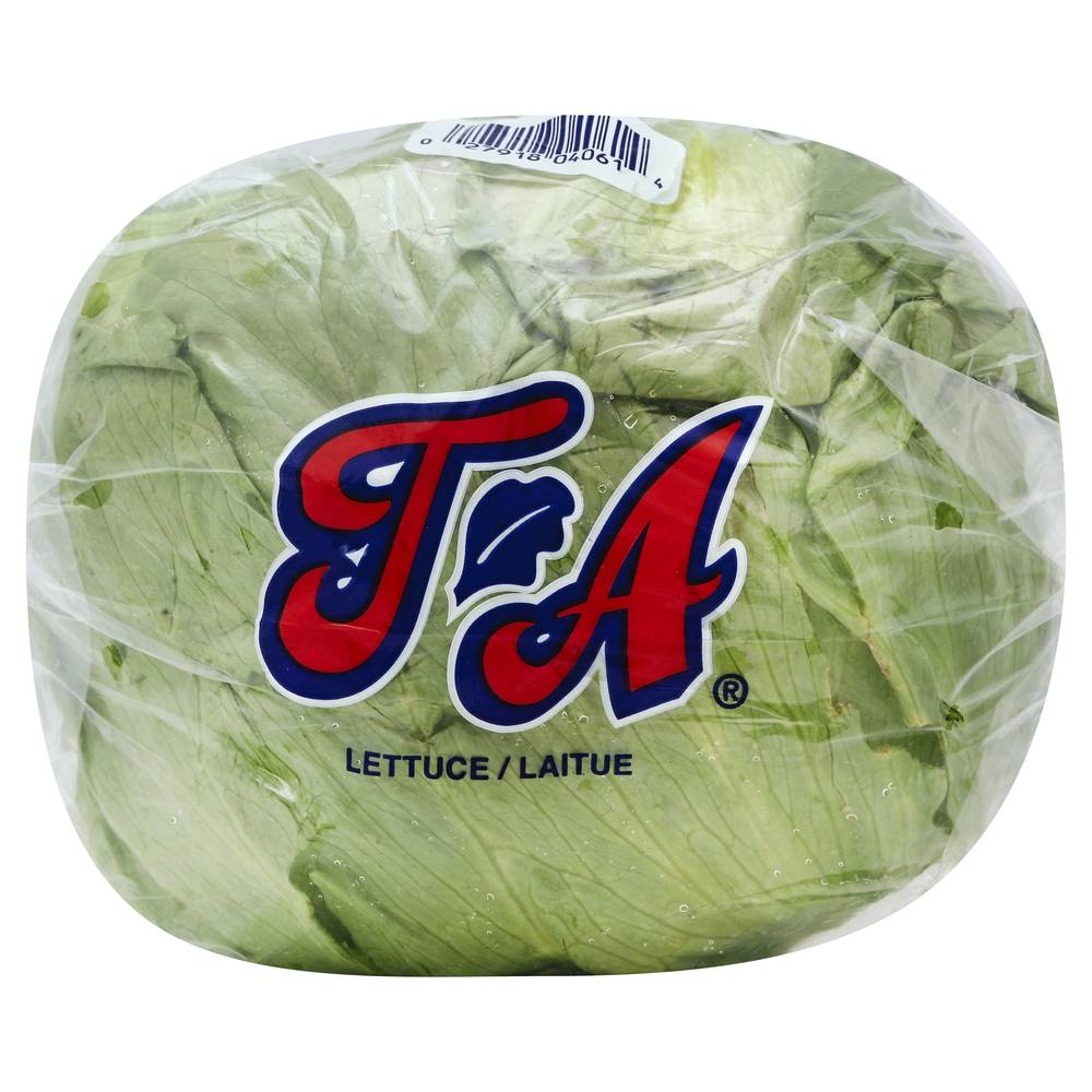 Tanimura & Antle Lettuce (734.81 g)