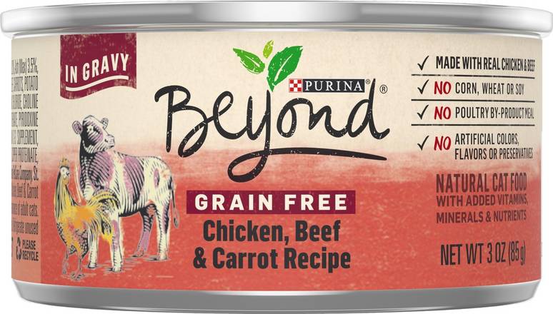 Purina Beyond Grain Free Chicken Beef & Carrot Dog Food