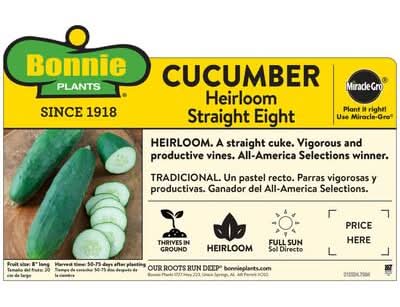 Bonnie Plants 19 Oz. Straight Eight Cucumber Plant | Postmates