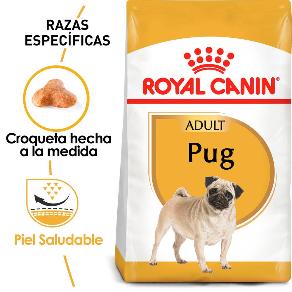 Royal canin alimento seco para pug (adulto)